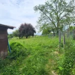 Ferme à rénover à Sales grand jardin_5